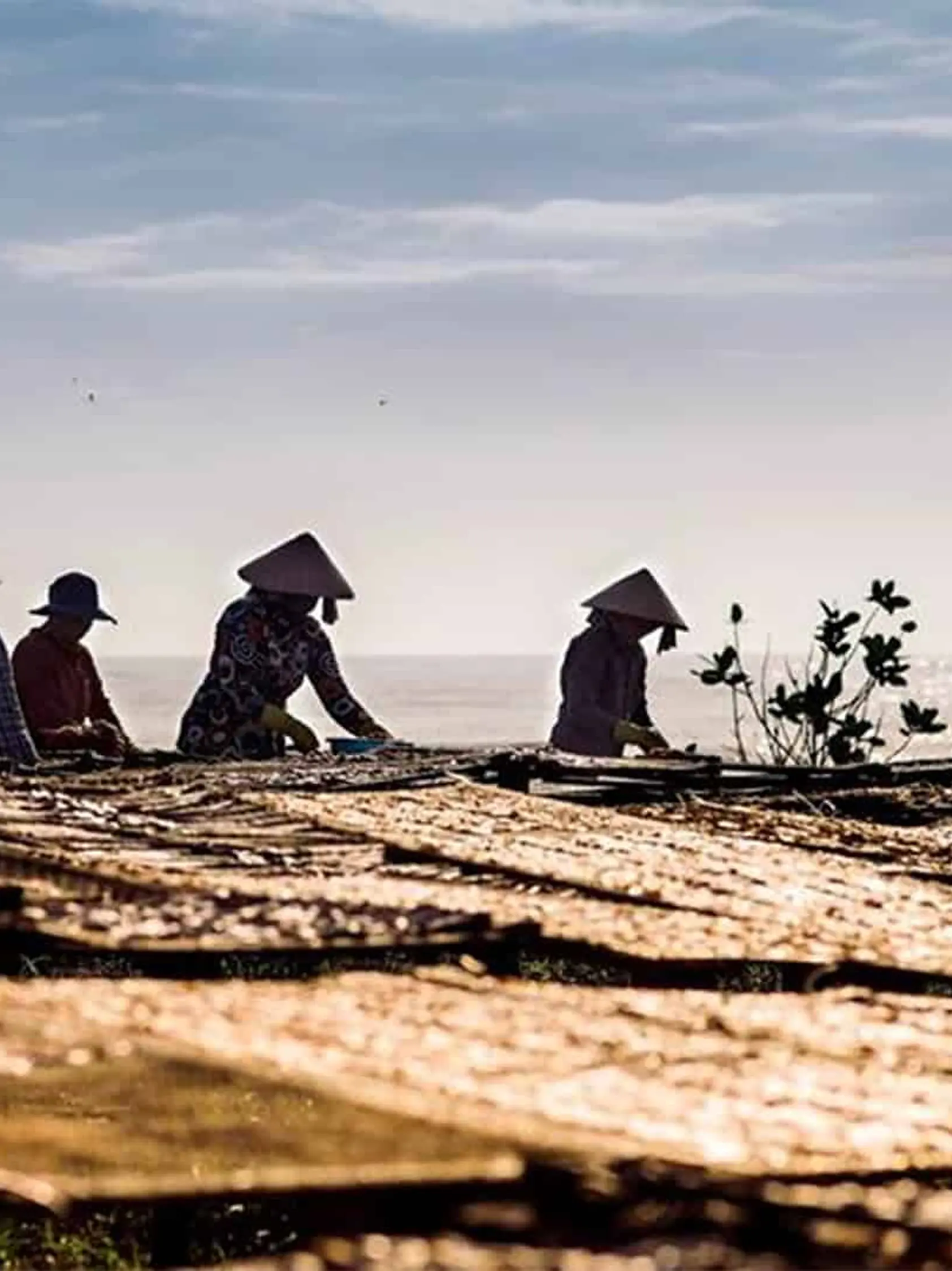 Explore unique local attractions discover the city of unspoiled beauty